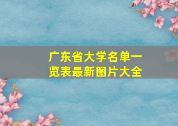 广东省大学名单一览表最新图片大全