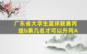 广东省大学生篮球联赛丙组b第几名才可以升丙A