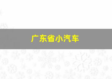 广东省小汽车