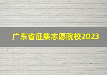 广东省征集志愿院校2023