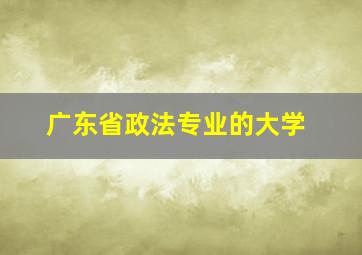 广东省政法专业的大学