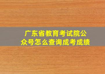 广东省教育考试院公众号怎么查询成考成绩