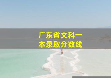 广东省文科一本录取分数线