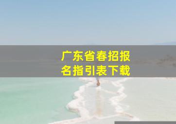 广东省春招报名指引表下载