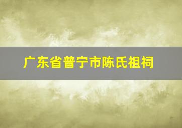 广东省普宁市陈氏祖祠