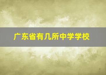 广东省有几所中学学校