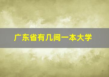 广东省有几间一本大学