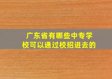 广东省有哪些中专学校可以通过校招进去的