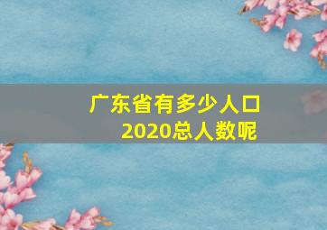 广东省有多少人口2020总人数呢