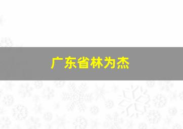 广东省林为杰