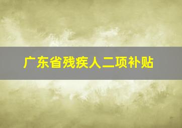 广东省残疾人二项补贴