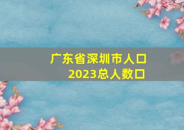 广东省深圳市人口2023总人数口