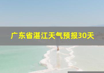 广东省湛江天气预报30天