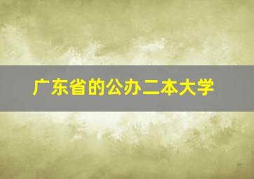 广东省的公办二本大学