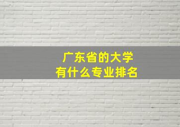 广东省的大学有什么专业排名