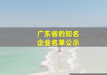 广东省的知名企业名单公示