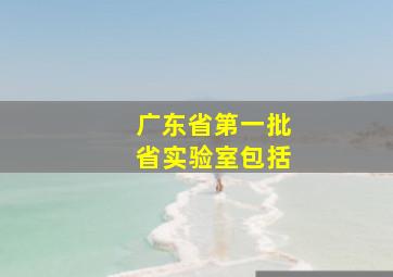 广东省第一批省实验室包括