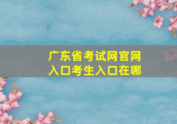 广东省考试网官网入口考生入口在哪