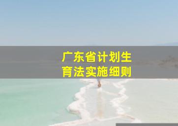 广东省计划生育法实施细则