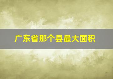 广东省那个县最大面积