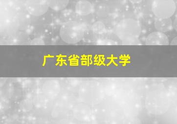 广东省部级大学