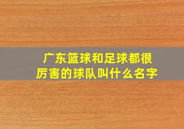 广东篮球和足球都很厉害的球队叫什么名字