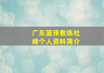 广东篮球教练杜峰个人资料简介