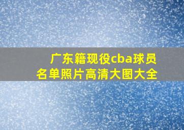 广东籍现役cba球员名单照片高清大图大全