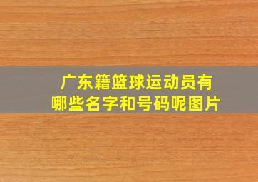 广东籍篮球运动员有哪些名字和号码呢图片