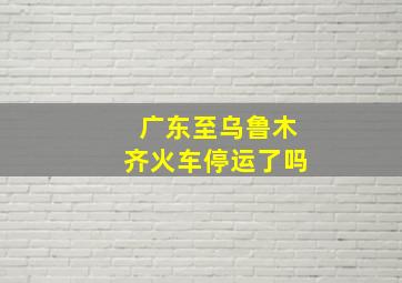 广东至乌鲁木齐火车停运了吗