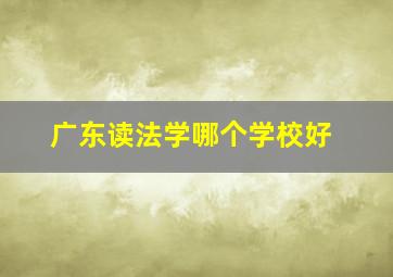 广东读法学哪个学校好