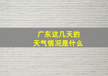 广东这几天的天气情况是什么