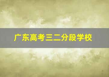 广东高考三二分段学校