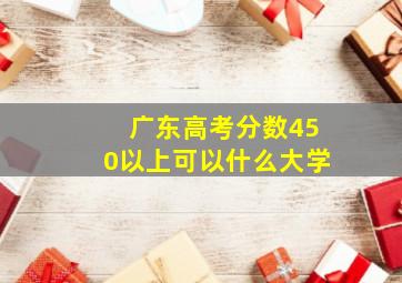 广东高考分数450以上可以什么大学