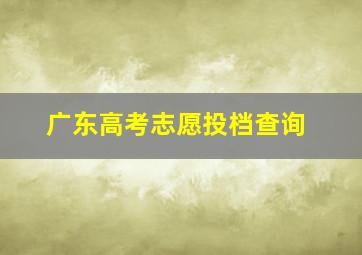 广东高考志愿投档查询