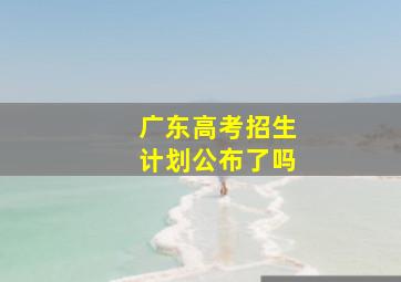 广东高考招生计划公布了吗