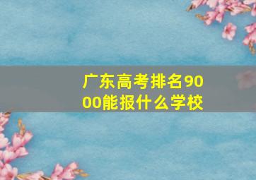 广东高考排名9000能报什么学校