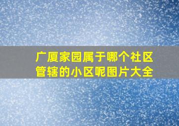 广厦家园属于哪个社区管辖的小区呢图片大全