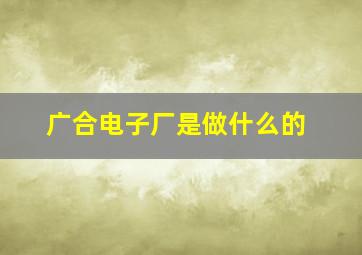 广合电子厂是做什么的