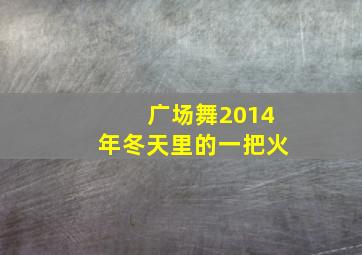 广场舞2014年冬天里的一把火