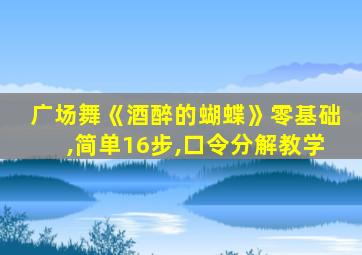 广场舞《酒醉的蝴蝶》零基础,简单16步,口令分解教学