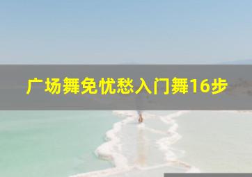 广场舞免忧愁入门舞16步