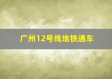 广州12号线地铁通车