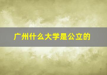 广州什么大学是公立的