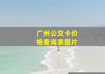 广州公交卡价格查询表图片