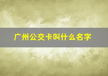 广州公交卡叫什么名字