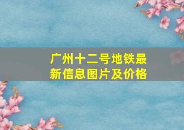 广州十二号地铁最新信息图片及价格