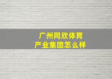 广州同欣体育产业集团怎么样