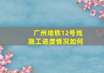 广州地铁12号线施工进度情况如何