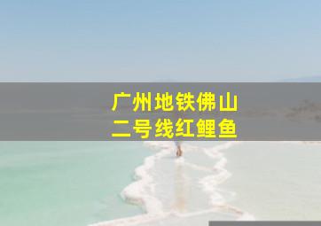 广州地铁佛山二号线红鲤鱼